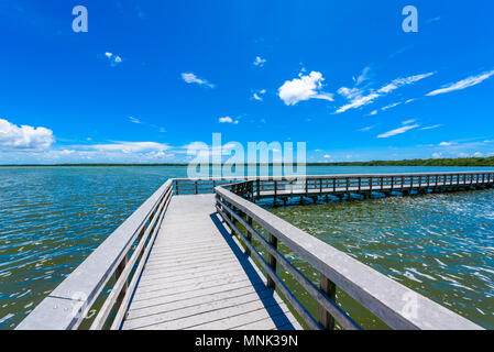 West Lake Trailhead des Everglades National Park. Promenaden im Sumpf. Florida, USA. Stockfoto