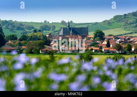 Flachs (Linum usitatissimum) in Blüte. Vic le Comte Dorf. Puy-de-Dome. Der Auvergne. Frankreich Stockfoto