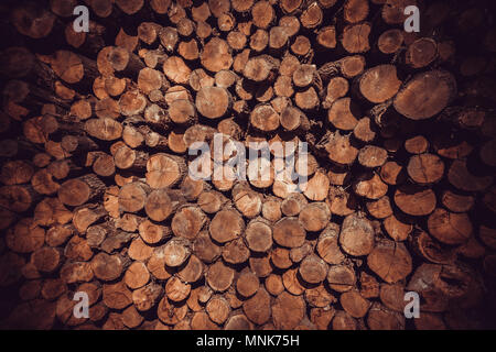 Reihe von Feuer Holz Lager für den winter Stockfoto