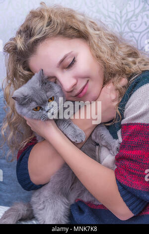 Mädchen mit lockigem Haar ist umarmt einen grauen Schottischen Katze, ein geliebtes Haustier Stockfoto