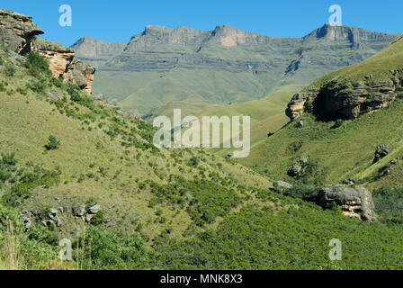 Strebepfeiler der hohen Basalt gipfeln in der zentralen Drakensberge, Giants Castle Nature Reserve, KwaZulu-Natal, Südafrika, Landschaft Stockfoto