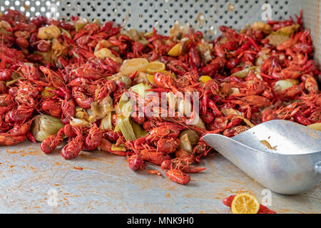 New Orleans, Louisiana - Langusten zum Verkauf auf dem französischen Markt. Stockfoto