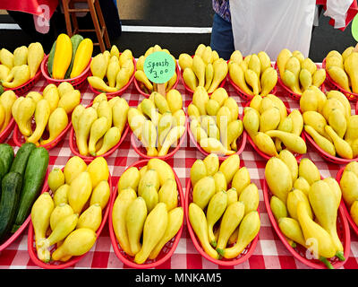 Körbe mit frischen gelben Squash oder Sommer Squash auf Display, für Verkauf, bei einem lokalen Bauernmarkt in Montgomery Alabama, USA. Stockfoto