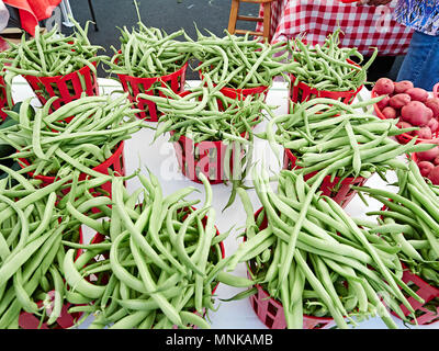 Körbe der grüne Brechbohnen oder grüne Bohnen, auf Anzeigen, im Verkauf, bei einem lokalen Bauernmarkt in Montgomery Alabama, USA. Stockfoto