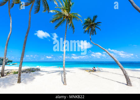Bottom Bay, Barbados-Paradise Beach auf der karibischen Insel Barbados. Tropischen Küste mit Palmen über das türkisfarbene Meer hängen. Panoramablick auf das Foto. Stockfoto
