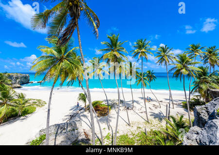 Bottom Bay, Barbados-Paradise Beach auf der karibischen Insel Barbados. Tropischen Küste mit Palmen über das türkisfarbene Meer hängen. Panoramablick auf das Foto. Stockfoto