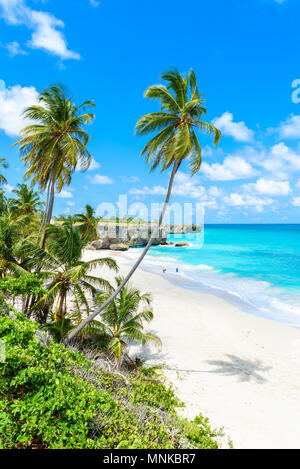 Bottom Bay, Barbados-Paradise Beach auf der karibischen Insel Barbados. Tropischen Küste mit Palmen über das türkisfarbene Meer hängen. Panoramablick auf das Foto. Stockfoto