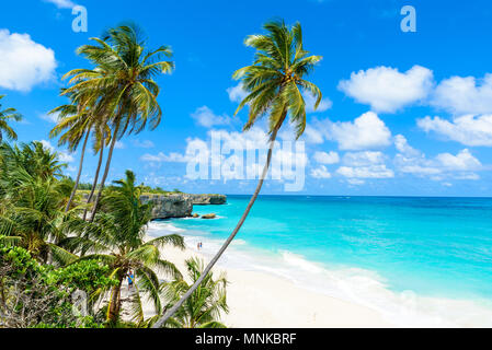 Bottom Bay, Barbados-Paradise Beach auf der karibischen Insel Barbados. Tropischen Küste mit Palmen über das türkisfarbene Meer hängen. Panoramablick auf das Foto. Stockfoto