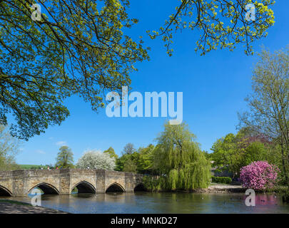 Historische 13. Jahrhundert Brücke über den Fluss Wye in Bakewell, Derbyshire, England, Großbritannien Stockfoto