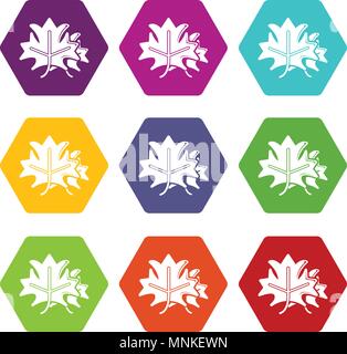 Ahorn Icons Set9 Vektor Stock Vektor