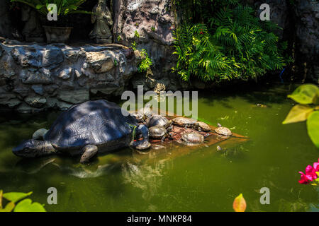 Tempel der Tempel Wat Ag (Schildkröte) in Bangkok, Thailand. Stockfoto