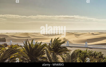 Dünen von Maspalomas Gran Canaria Stockfoto