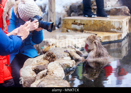 Touristen Fotos von Schnee Affen Japanmakaken baden in Onsen Hot Springs in Nagano, Japan Stockfoto