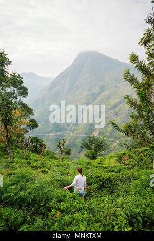 Junge Frau mit traumhaftem Blick auf Bergen und Teeplantagen in Ella Sri Lanka Stockfoto