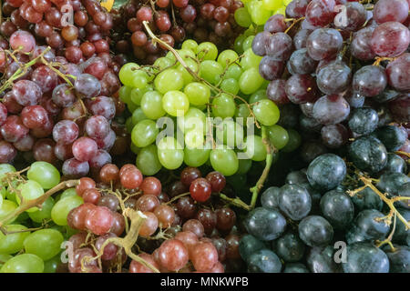 Verschiedene Sorten von der frischen reifen Trauben, Trauben, Beeren sind grün, schwarz und violett, essen Hintergrund einer Weintraube. Stockfoto