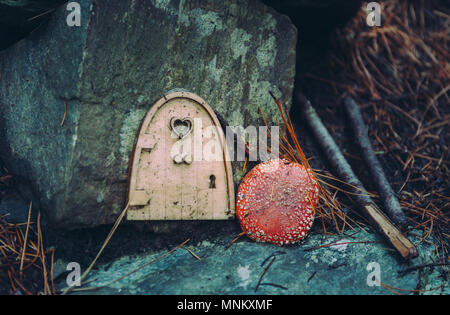 Der Baumstamm mit Tür in den Wald im Herbst Stockfoto