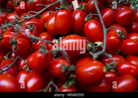 Frische San Marzano Tomaten zum Verkauf am Marktstand in Bologna, Italien. Stockfoto