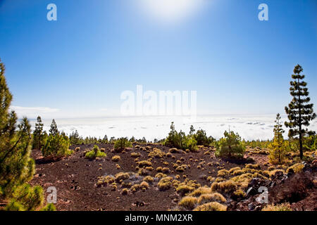 Teide - fantastische Panorama Foto über den Wolken, Teneriffa, Spanien Stockfoto