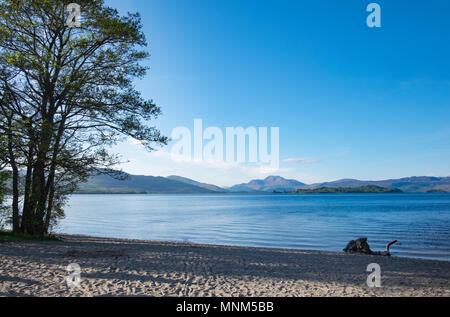 Die bonnie Ufer von Loch Lomond, Schottland Stockfoto