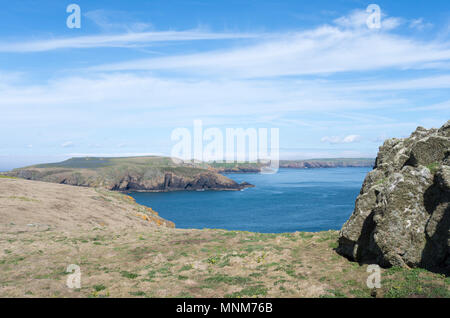 Skomer Island, Wales, UK pic der Insel an einem sonnigen Tag Stockfoto