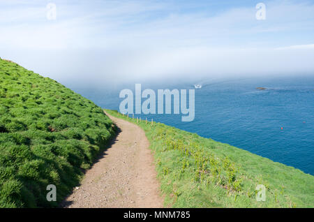 Skomer Island, Wales, UK pic der Insel an einem sonnigen Tag Stockfoto