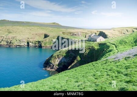 Skomer Island, Wales, UK pic der Insel an einem sonnigen Tag Stockfoto