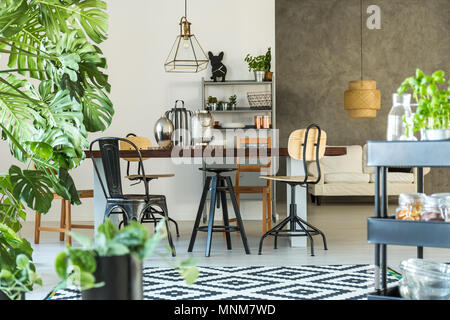 Modernen Speisesaal mit monstera Pflanze, Teppich und Küche Warenkorb Stockfoto