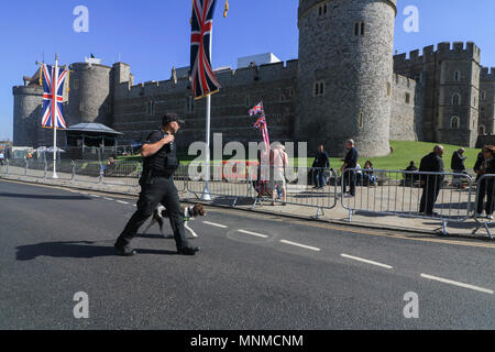 Windsor Berkshire, Großbritannien. 17. Mai 2018. die Polizei mit Spürhunden machen Sicherheitskontrollen wie Windsor Zahnräder für die Hochzeit des Jahres als Tausende von Menschen und wellwishers vorbereiten zu besuchen und das Zeugnis der königlichen Hochzeit zwischen Prinz Harry und Meghan Markle am 19. Mai Credit: Amer ghazzal/Alamy leben Nachrichten Stockfoto