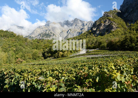 Mountain Vineyards aus der Swiss Wine Trail gesehen, in der Nähe von Chamoson, in der oberen Rhonetal, Kanton Wallis, Schweiz. Stockfoto