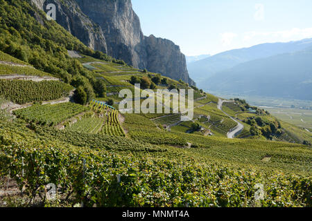 Mountain Vineyards ab der Swiss Wine Trail gesehen, in der Nähe von Chamoson, in das Rhonetal, Kanton Wallis, Schweiz. Stockfoto