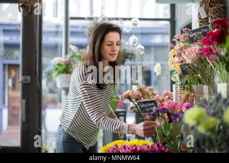 Preise Florist Blumen in Ihrem Store Stockfoto
