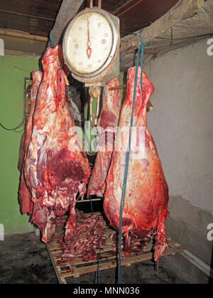 Frische Kuhfleisch hängend, Kolumbien Stockfoto