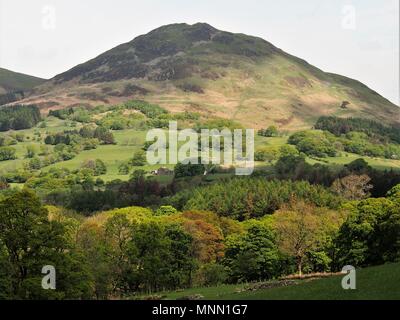 Niedrige fiel und die Loweswater Valley, Lake District National Park, Cumbria, Vereinigtes Königreich Stockfoto