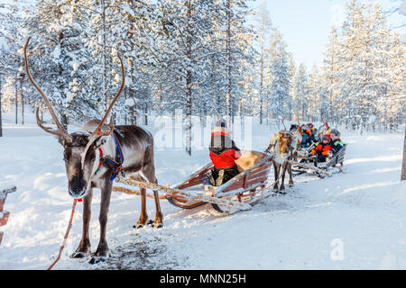 Familie mit Kindern an Rentier Safari im Winter Wald in Lappland Finnland Stockfoto