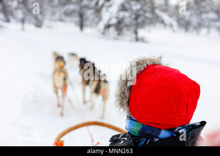 Husky Hunde ziehen Schlitten mit einem Kind im Winter Forest in Lappland Finnland Stockfoto