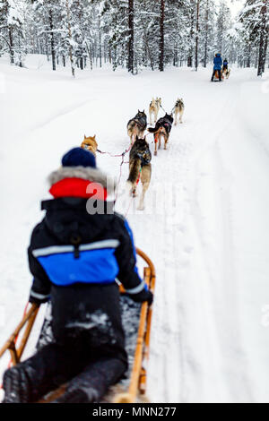 Husky Hunde ziehen Schlitten mit einem Kind im Winter Forest in Lappland Finnland Stockfoto
