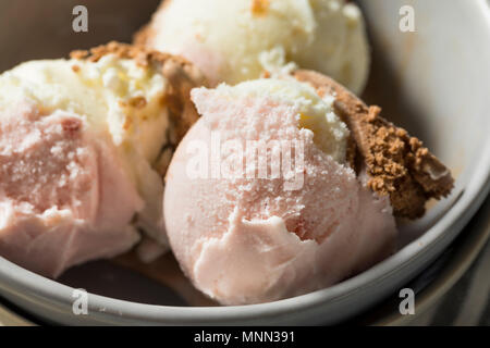 Hausgemachte Neopolitan Eis mit Schoko Vanille und Erdbeere Stockfoto