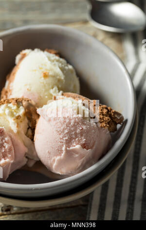 Hausgemachte Neopolitan Eis mit Schoko Vanille und Erdbeere Stockfoto