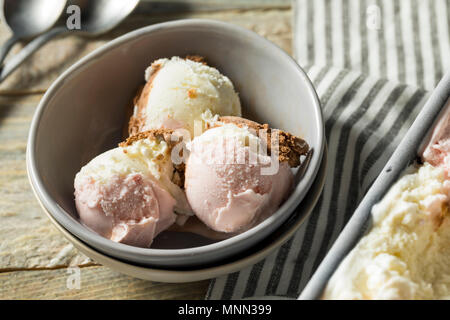 Hausgemachte Neopolitan Eis mit Schoko Vanille und Erdbeere Stockfoto