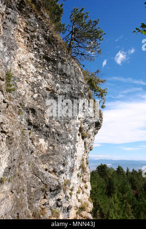 Blick auf die Klippe und Pinien an einem sonnigen Tag im Skigebiet Bansko, Bulgarien. Stockfoto