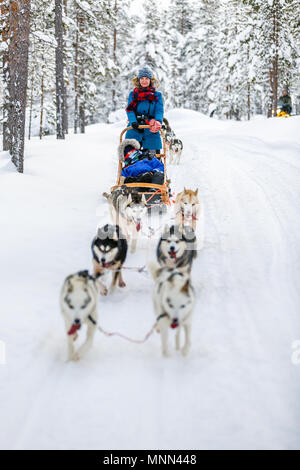 Husky Hunde ziehen Schlitten mit Familie im Winter Forest in Lappland Finnland Stockfoto