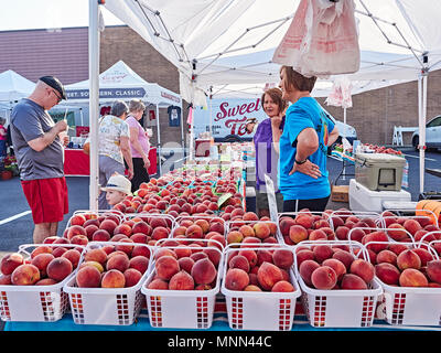 Zwei Frauen verkaufen frische Chilton County Alabama Pfirsiche zu einem männlichen Kunden bei einem lokalen Bauernmarkt in Montgomery Alabama, USA. Stockfoto