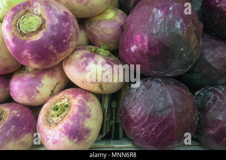 Essen Hintergrund einer weißen Rettich mit lila Scheidungen an den Seiten und große Kohl burgund Kohl. Stockfoto