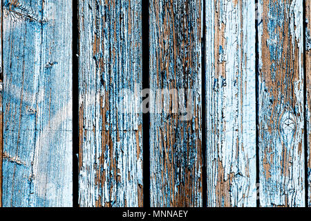 Blaue marode Holzwand; Blau morsche Holzwand Stockfoto