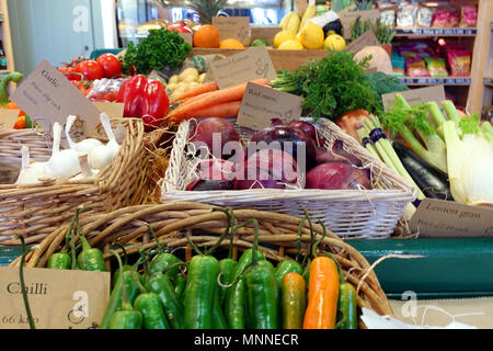 Bunte Auswahl an gesundem Gemüse in Weidenkörbe, einschließlich Chili, Knoblauch, Zwiebel, Pfeffer, Tomaten und Karotten. Stockfoto