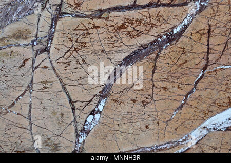 Textur einer festen und glatten beige Marmor Oberfläche als Material für die Dekoration von Wänden im Innenraum und die Fassade in der Form von rechteckigen Fliesen Stockfoto
