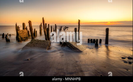 Sunrise Seascape, Licht trifft alte hölzerne Beiträge am Strand von verschmähen Point Nature Reserve in der Nähe von Hull, Yorkshire, Großbritannien. Stockfoto