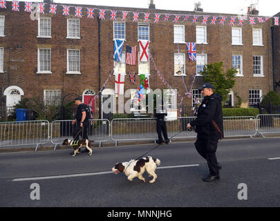 Einen Polizisten mit Spürhunden Patrouille in Windsor vor der Hochzeit von Prinz Harry und Meghan Markle. Stockfoto