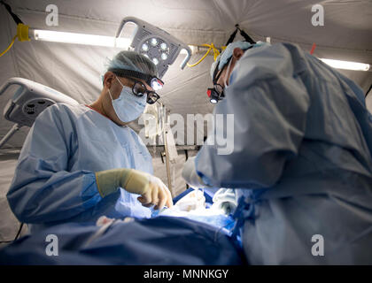 PUERTO Cortes, Honduras (16. März 2018) Kapitän Rob Ricca und Lt.Cmdr. Greg Chesnut eine Hernie Betrieb auf einer Honduranischen Patienten in der expeditionary medizinische Einheit in Puerto Cortes, Honduras durchführen, während weiterhin Versprechen 2018. Us Naval Forces Southern Command/USA 4. Flotte hat eine Kraft entfaltet Auszuführen weiterhin Versprechen zivil-militärische Operationen durchzuführen, einschließlich humanitärer Hilfe, Ausbildung Engagements und medizinische, zahnmedizinische und veterinärmedizinische Unterstützung in einer Bemühung, US-Unterstützung und Engagement in Zentral- und Südamerika zu zeigen. Stockfoto