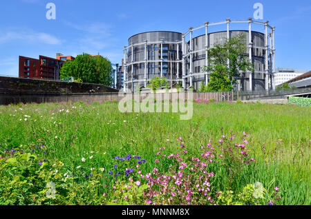 Gasspeicher Apartments, Lewis Cubitt Square, Kings Cross, London, England, UK. Luxus Wohnungen in Grade II aufgeführten gasholders Stockfoto